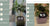 Smart Planter Endless Fun Over 49 Rich Expressions 7 Smart Sensors And - 
