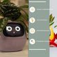 Smart Planter Endless Fun Over 49 Rich Expressions 7 Smart Sensors And - 
