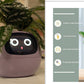 Smart Planter Endless Fun Over 49 Rich Expressions 7 Smart Sensors And - 