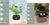 Smart Planter Endless Fun Over 49 Rich Expressions 7 Smart Sensors And - 