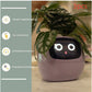 Smart Planter Endless Fun Over 49 Rich Expressions 7 Smart Sensors And - 