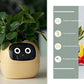 Smart Planter Endless Fun Over 49 Rich Expressions 7 Smart Sensors And - 