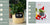 Smart Planter Endless Fun Over 49 Rich Expressions 7 Smart Sensors And - 