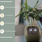 Smart Planter Endless Fun Over 49 Rich Expressions 7 Smart Sensors And - 