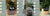 Smart Planter Endless Fun Over 49 Rich Expressions 7 Smart Sensors And - 