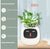 Smart Planter Endless Fun Over 49 Rich Expressions 7 Smart Sensors And - 