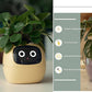 Smart Planter Endless Fun Over 49 Rich Expressions 7 Smart Sensors And - 