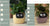 Smart Planter Endless Fun Over 49 Rich Expressions 7 Smart Sensors And - 