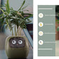 Smart Planter Endless Fun Over 49 Rich Expressions 7 Smart Sensors And - 
