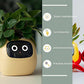 Smart Planter Endless Fun Over 49 Rich Expressions 7 Smart Sensors And - 