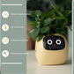 Smart Planter Endless Fun Over 49 Rich Expressions 7 Smart Sensors And - 