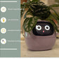 Smart Planter Endless Fun Over 49 Rich Expressions 7 Smart Sensors And - 