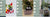Smart Planter Endless Fun Over 49 Rich Expressions 7 Smart Sensors And - 