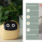 Smart Planter Endless Fun Over 49 Rich Expressions 7 Smart Sensors And - 