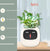 Smart Planter Endless Fun Over 49 Rich Expressions 7 Smart Sensors And - 