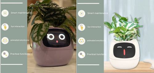 Smart Planter Endless Fun Over 49 Rich Expressions 7 Smart Sensors And - 