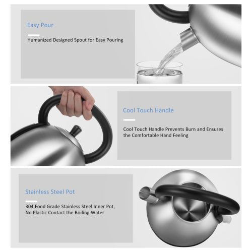 Stainless Steel Inner Pot and Lid Electric Kettle with Water Filter 