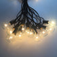 String Lights Globe 25ft 25 Edison Incasdescent G40 Bulbs 