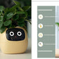 Smart Planter Endless Fun Over 49 Rich Expressions 7 Smart Sensors And - 