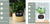 Smart Planter Endless Fun Over 49 Rich Expressions 7 Smart Sensors And - 