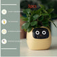 Smart Planter Endless Fun Over 49 Rich Expressions 7 Smart Sensors And - 