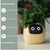 Smart Planter Endless Fun Over 49 Rich Expressions 7 Smart Sensors And - 