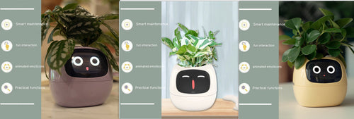 Smart Planter Endless Fun Over 49 Rich Expressions 7 Smart Sensors And - 