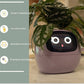 Smart Planter Endless Fun Over 49 Rich Expressions 7 Smart Sensors And - 