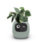 Smart Planter Endless Fun Over 49 Rich Expressions 7 Smart Sensors And - 