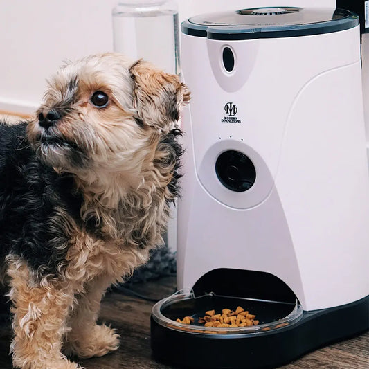 WiFi Pet Feeder 